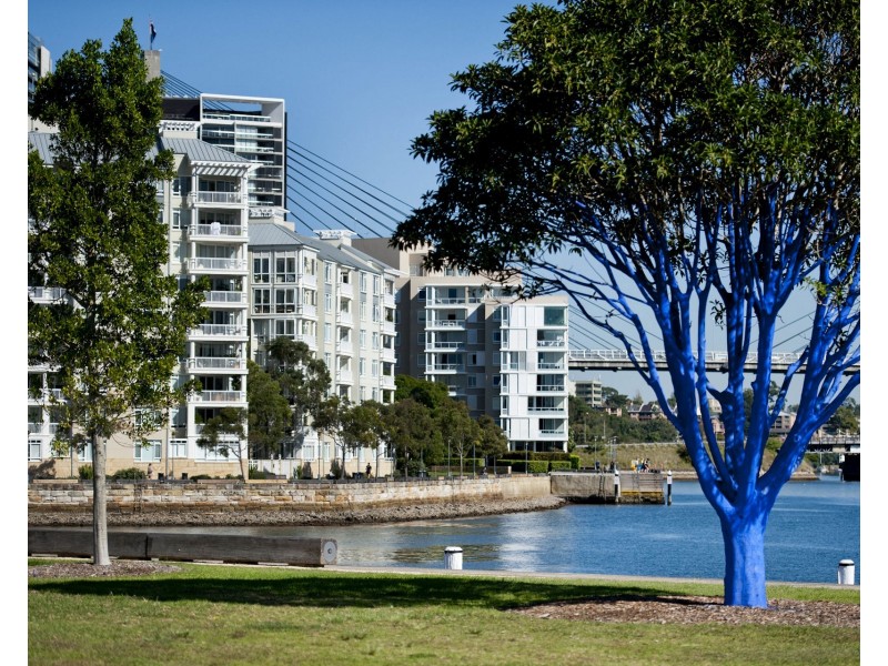 5/149 Pyrmont Street, Pyrmont NSW 2009