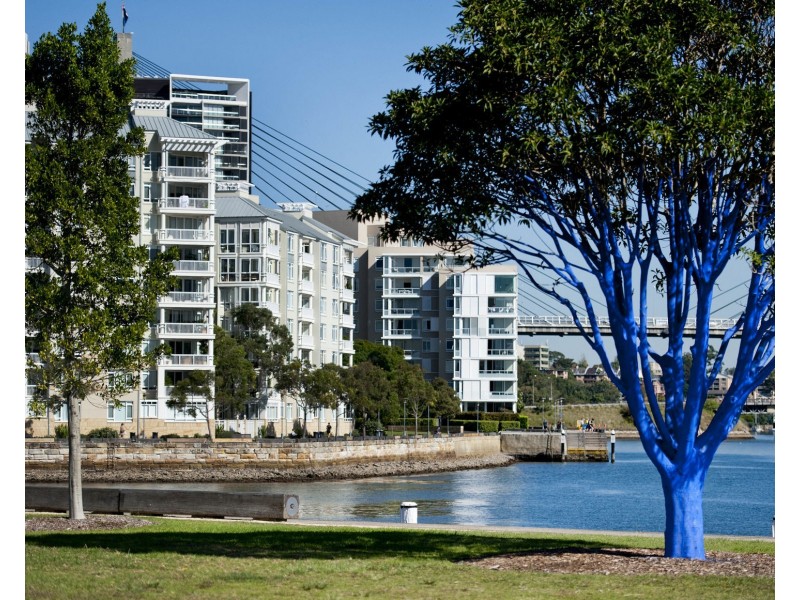 15/25 Harvey Street, Pyrmont NSW 2009