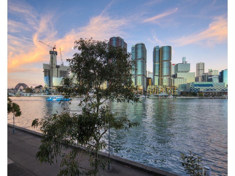 322/3 Darling Island Road, Pyrmont NSW 2009