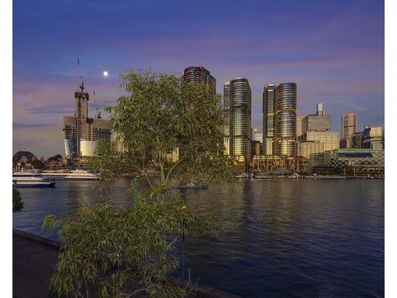 322/3 Darling Island Road, Pyrmont NSW 2009