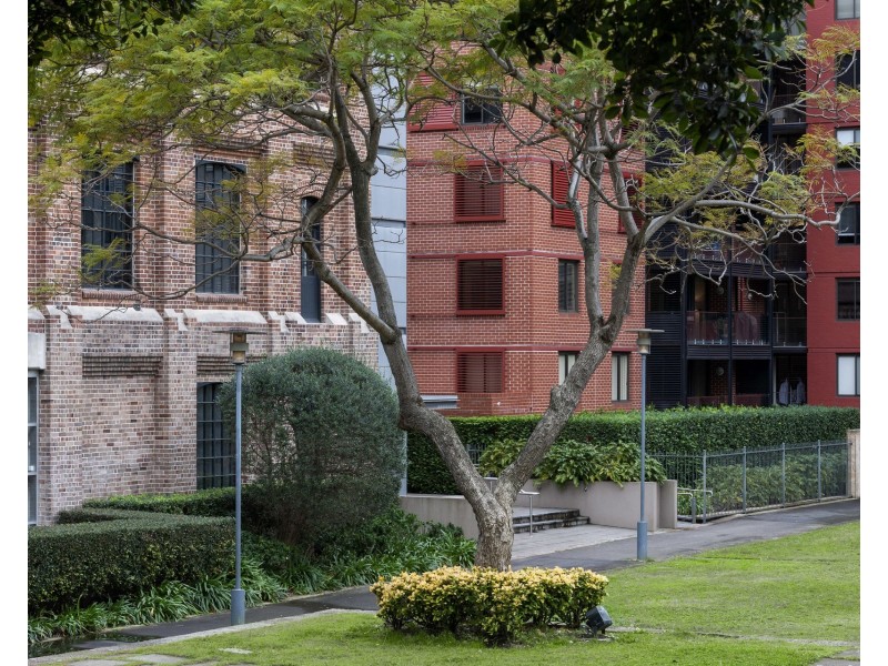 604/41 Refinery Drive, Pyrmont NSW 2009