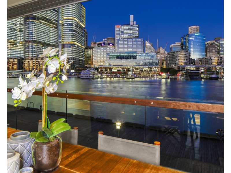 8/56A Pirrama Road, Pyrmont NSW 2009