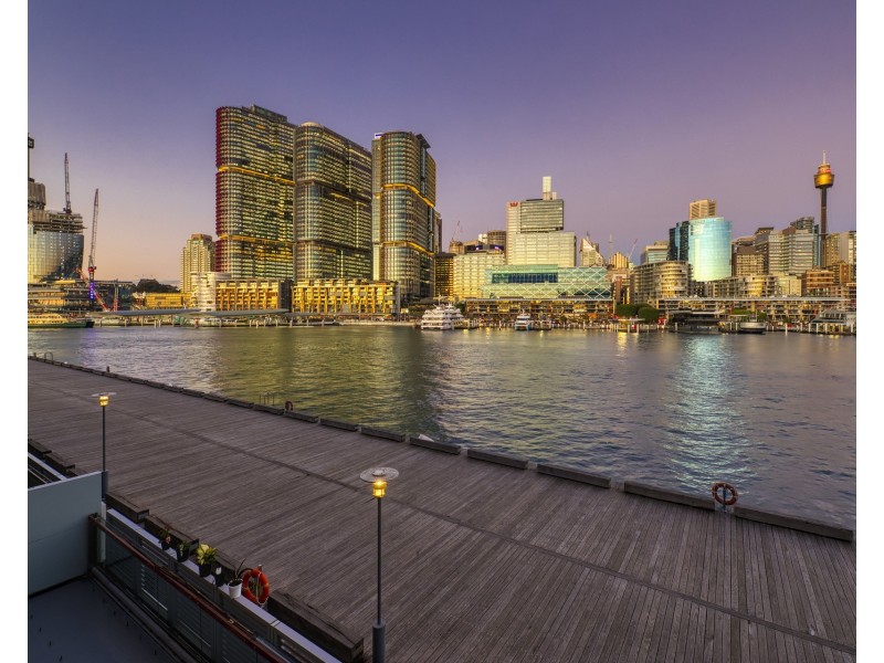 8/56A Pirrama Road, Pyrmont NSW 2009