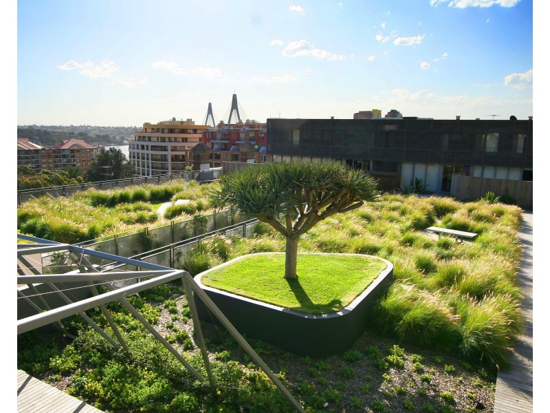 312/320 Harris Street, Pyrmont NSW 2009