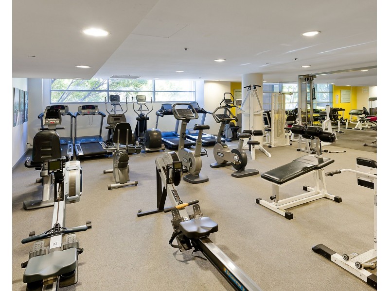 313/23 Shelley Street, Sydney NSW 2000