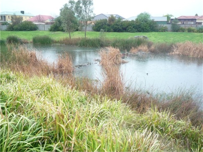 59 The Parkway, Caroline Springs VIC 3023