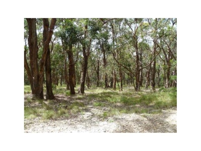 Lot 97 Prince Alfred Street, Riddells Creek VIC 3431