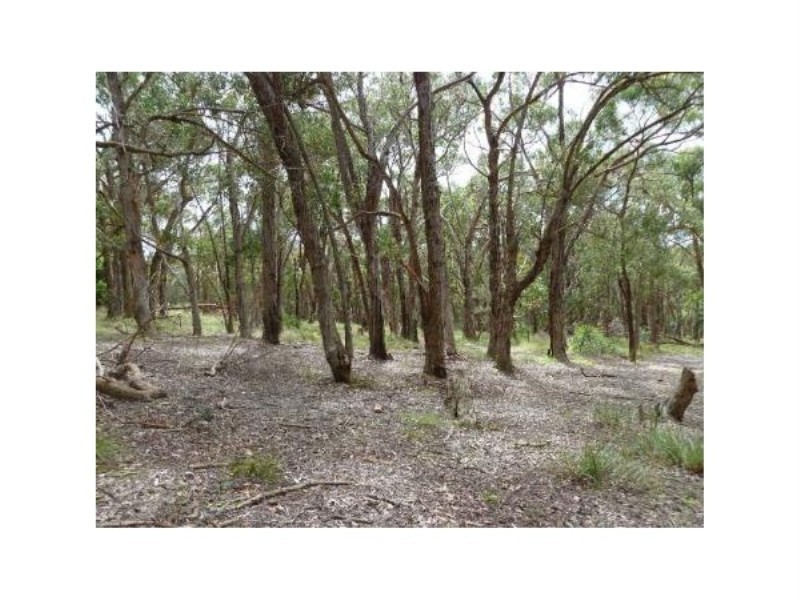 Lot 97 Prince Alfred Street, Riddells Creek VIC 3431