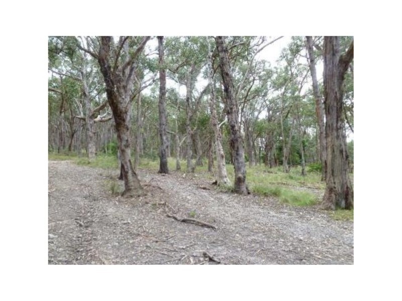 Lot 97 Prince Alfred Street, Riddells Creek VIC 3431