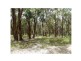 Lot 97 Prince Alfred Street, Riddells Creek VIC 3431