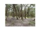 Lot 97 Prince Alfred Street, Riddells Creek VIC 3431
