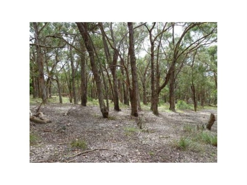 Lot 97 Prince Alfred Street, Riddells Creek VIC 3431