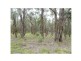 Lot 97 Prince Alfred Street, Riddells Creek VIC 3431