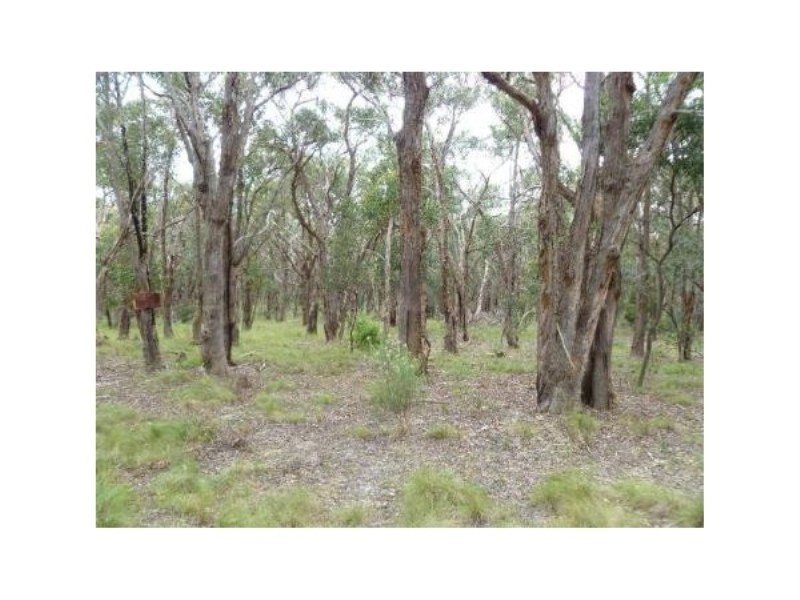 Lot 97 Prince Alfred Street, Riddells Creek VIC 3431