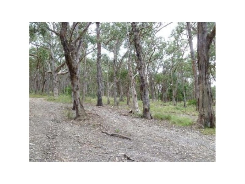 Lot 97 Prince Alfred Street, Riddells Creek VIC 3431