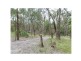 Lot 97 Prince Alfred Street, Riddells Creek VIC 3431