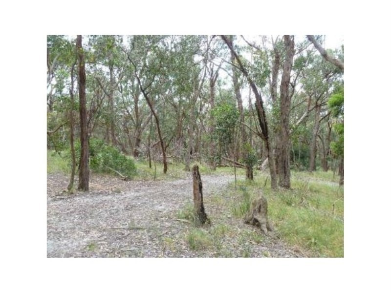 Lot 97 Prince Alfred Street, Riddells Creek VIC 3431