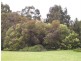 L 856 BROCKMAN HIGHWAY, Bridgetown WA 6255