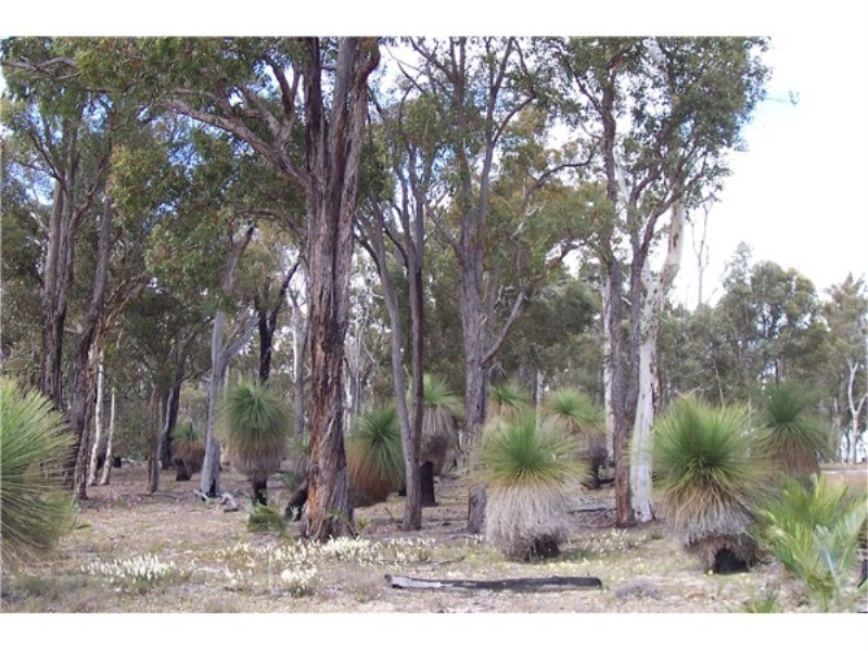 L 3883 Asplin Siding Road, Boyup Brook WA 6244