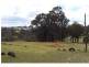 L 3883 Asplin Siding Road, Boyup Brook WA 6244