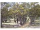 L 3883 Asplin Siding Road, Boyup Brook WA 6244