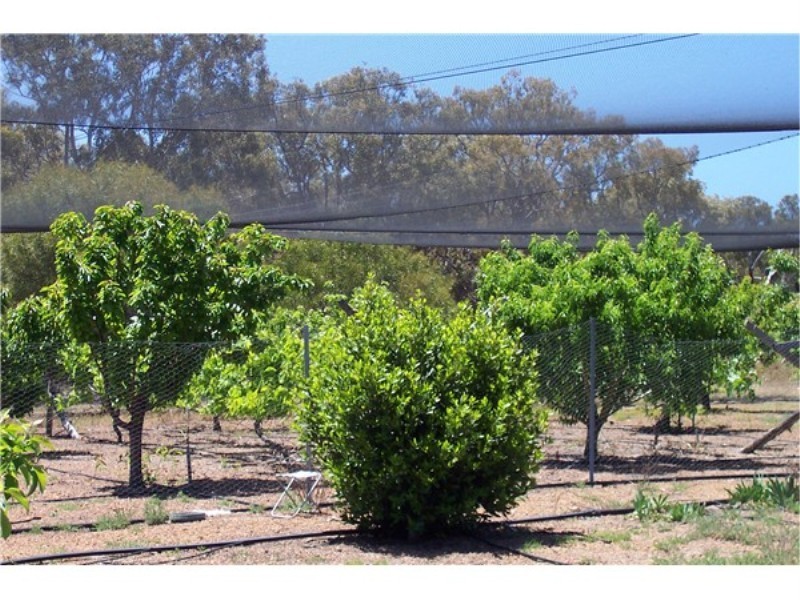 L 3883 Asplin Siding Road, Boyup Brook WA 6244