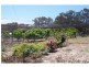 L 3883 Asplin Siding Road, Boyup Brook WA 6244