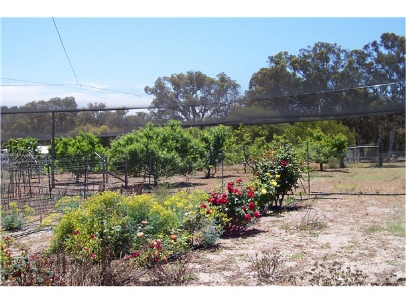 L 3883 Asplin Siding Road, Boyup Brook WA 6244