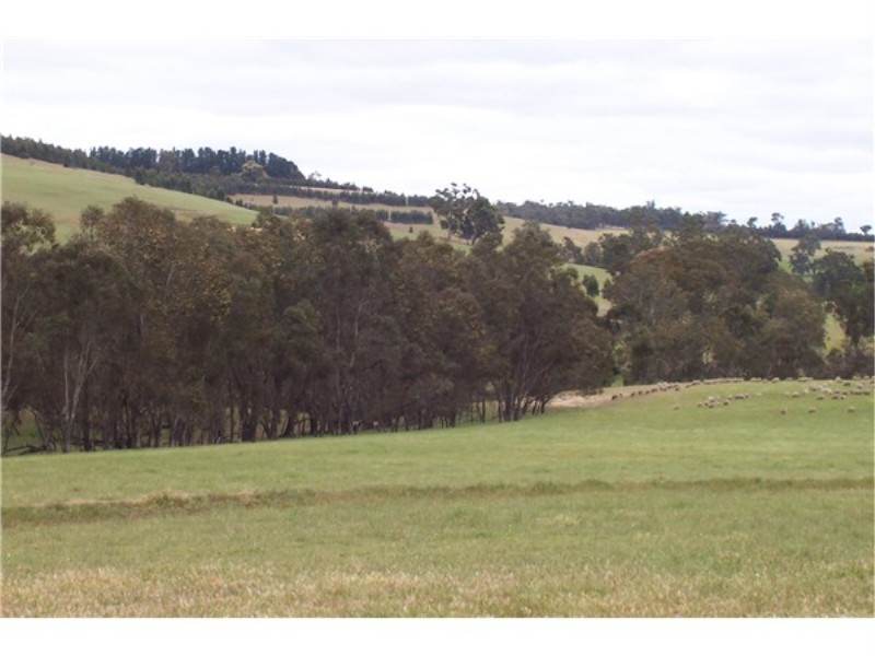 Lot 17 Winnejup Road, Boyup Brook WA 6244