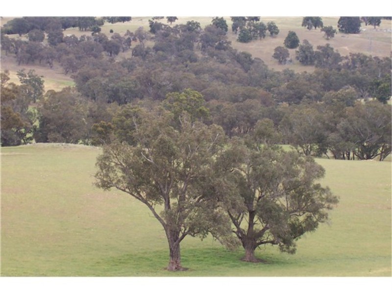 Lot 17 Winnejup Road, Boyup Brook WA 6244