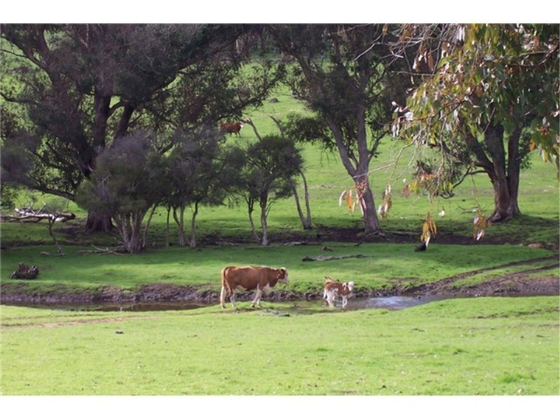 L 3731 Boyup Brook – Donnybrook Road, Boyup Brook WA 6244