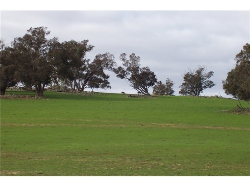 L 3731 Boyup Brook – Donnybrook Road, Boyup Brook WA 6244