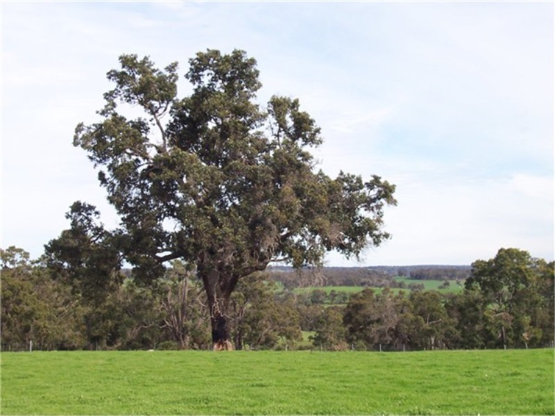 L 1597 BOYUP BROOK – ARTHUR RIVER ROAD, Boyup Brook WA 6244