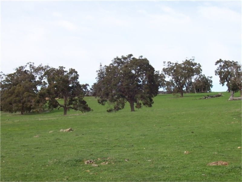 L 1597 BOYUP BROOK – ARTHUR RIVER ROAD, Boyup Brook WA 6244