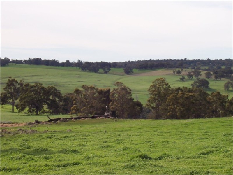 L 1597 BOYUP BROOK – ARTHUR RIVER ROAD, Boyup Brook WA 6244