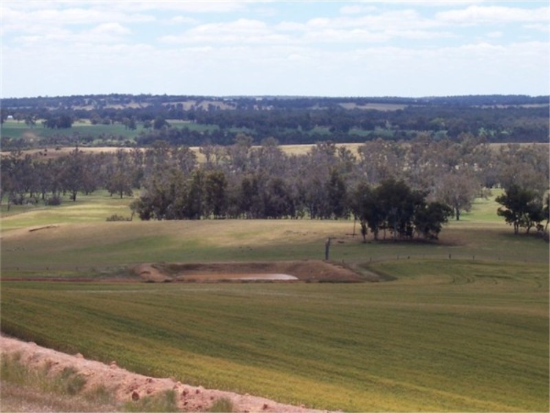 L 3966 KULIKUP SOUTH ROAD, Boyup Brook WA 6244