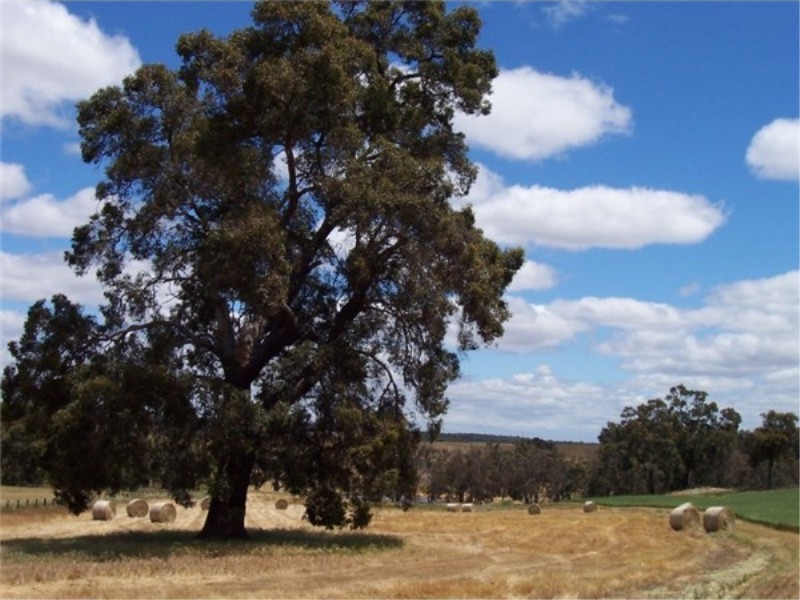 L 3966 KULIKUP SOUTH ROAD, Boyup Brook WA 6244