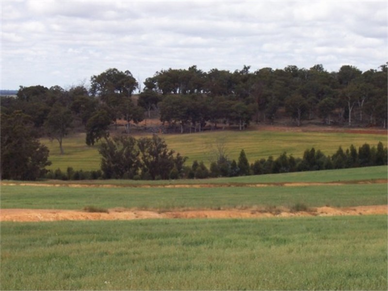 L 3966 KULIKUP SOUTH ROAD, Boyup Brook WA 6244