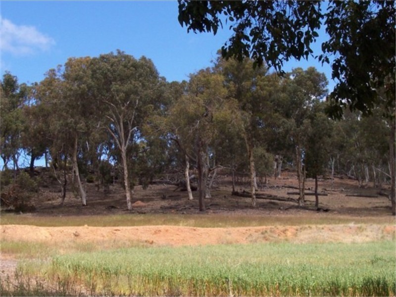 L 3966 KULIKUP SOUTH ROAD, Boyup Brook WA 6244