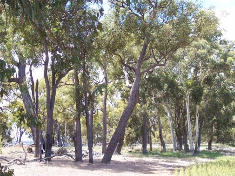 L 3966 KULIKUP SOUTH ROAD, Boyup Brook WA 6244