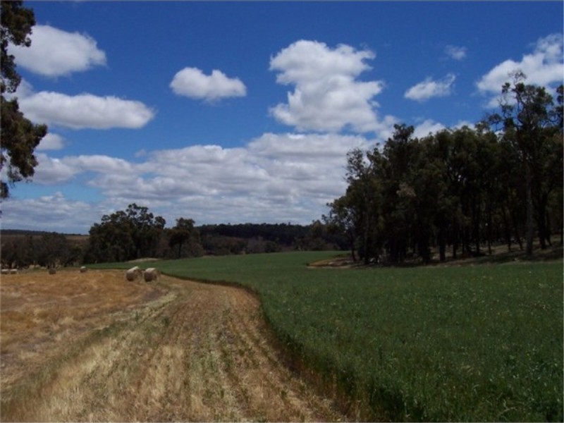 L 3966 KULIKUP SOUTH ROAD, Boyup Brook WA 6244