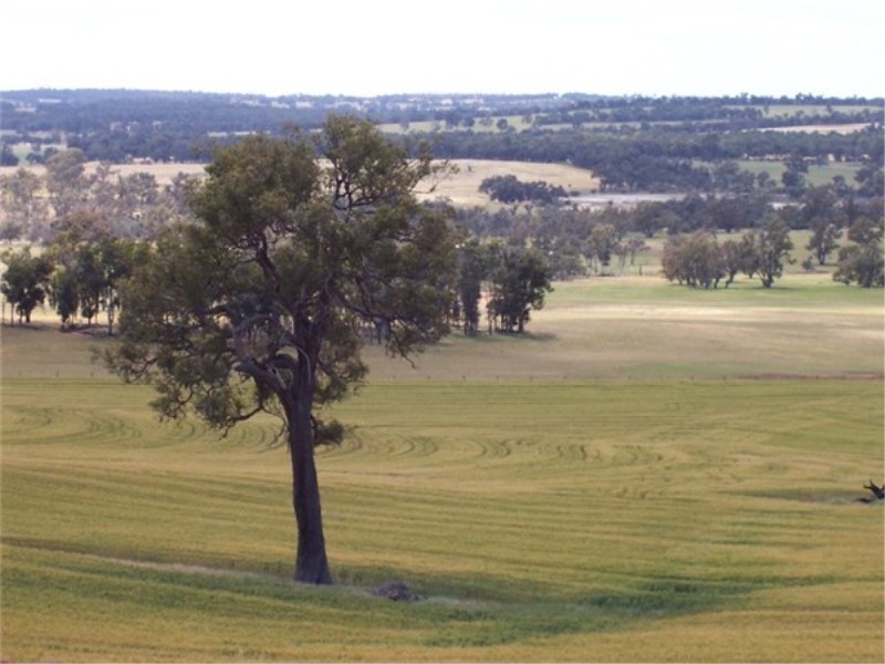 L 3966 KULIKUP SOUTH ROAD, Boyup Brook WA 6244