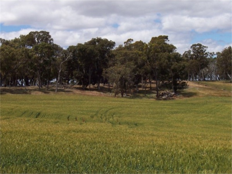 L 3966 KULIKUP SOUTH ROAD, Boyup Brook WA 6244