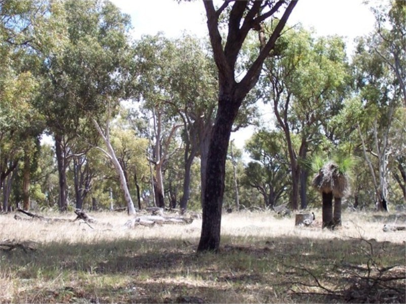 L 3966 KULIKUP SOUTH ROAD, Boyup Brook WA 6244