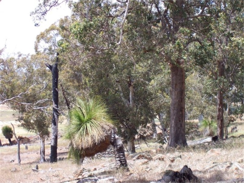 L 3966 KULIKUP SOUTH ROAD, Boyup Brook WA 6244