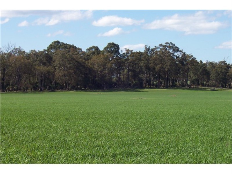 L2822 MALTRUP ROAD, Boyup Brook WA 6244