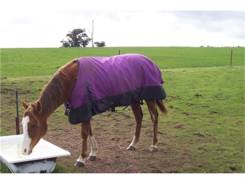 Lot 448 / RMB 98 Six Mile Road, Boyup Brook WA 6244