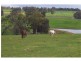 Lot 448 / RMB 98 Six Mile Road, Boyup Brook WA 6244