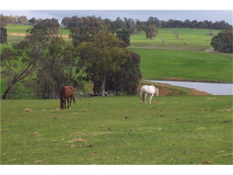 Lot 448 / RMB 98 Six Mile Road, Boyup Brook WA 6244