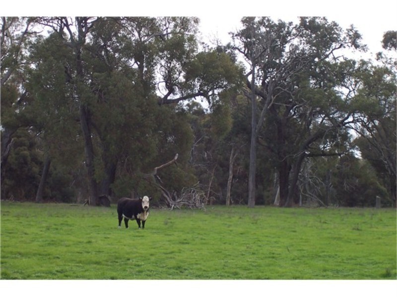 Lot 11112 Gibbs Road, Boyup Brook WA 6244